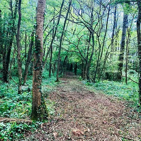 Logis Du Chateau Des Marais Lägenhet