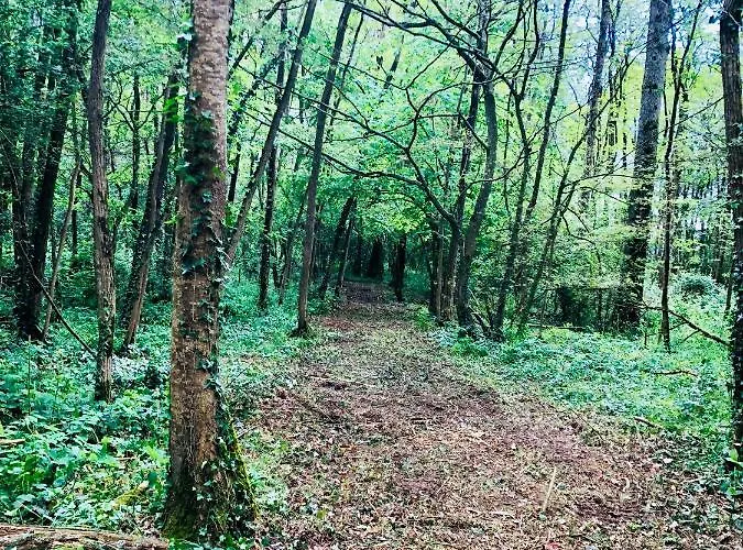 Logis Du Chateau Des Marais - Pour 2 A 3 Personnes Apartamento