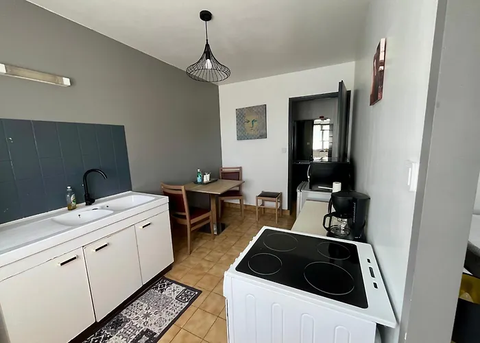 Logis Du Chateau Des Marais - Pour 2 A 3 Personnes Apartamento